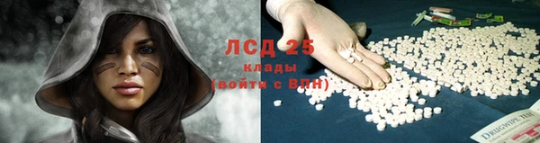 спиды Аркадак