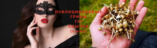 ешки Арсеньев
