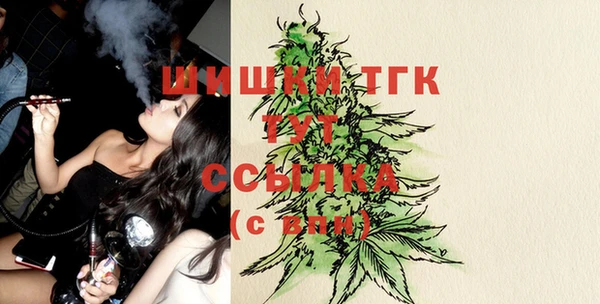 ешки Арсеньев