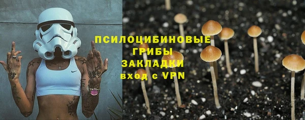 ешки Арсеньев