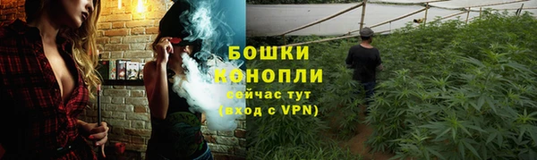 ешки Арсеньев